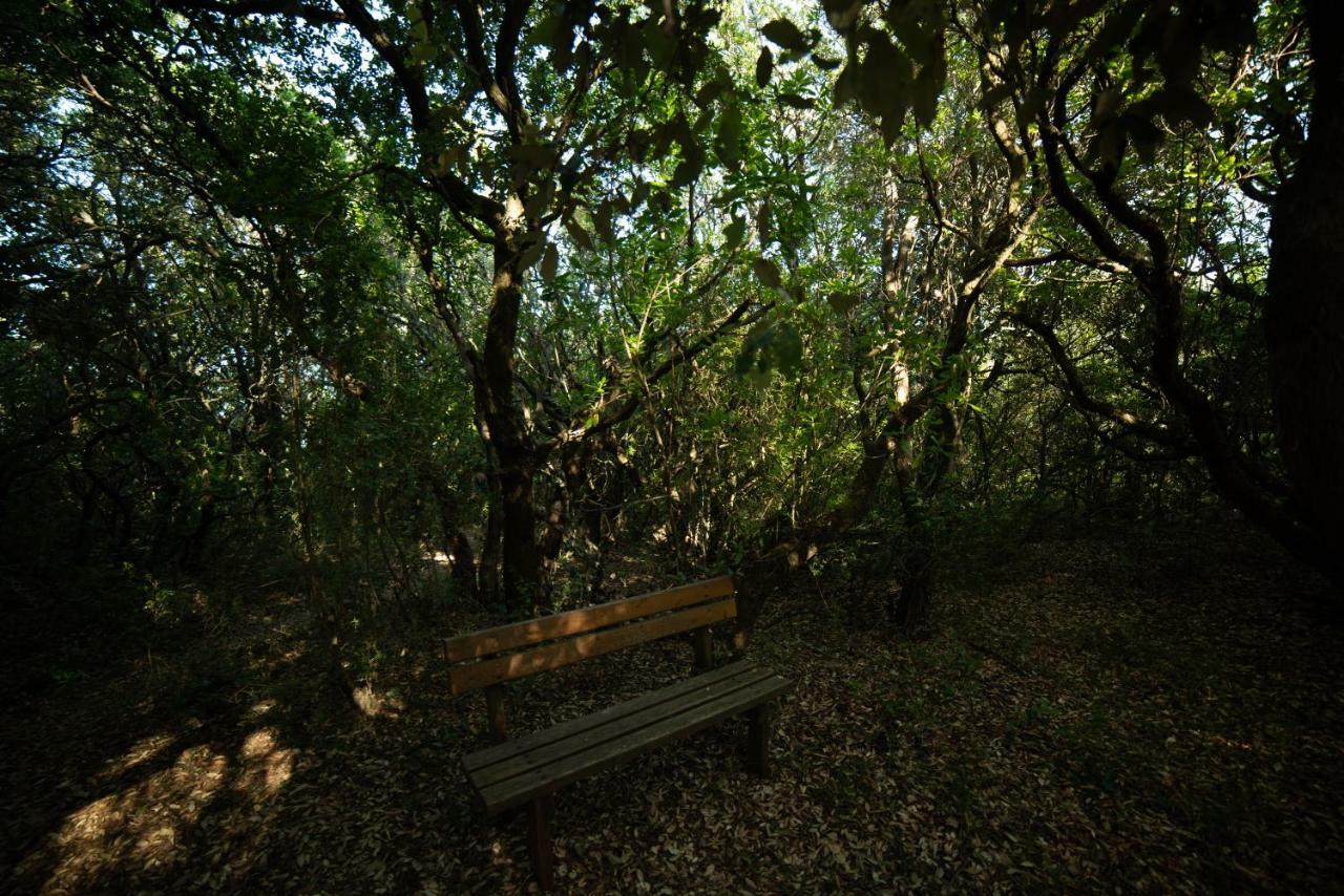Ágios MatthaíosMenecrates Rustic - San Matteoアパートメント エクステリア 写真